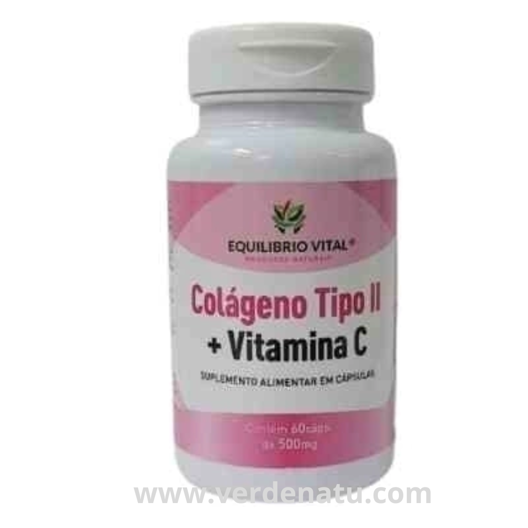 Colageno Tipo 2 Com Vitamina C 60 Cápsulas 500mg Equilibrio